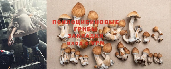 прущие крисы Армянск
