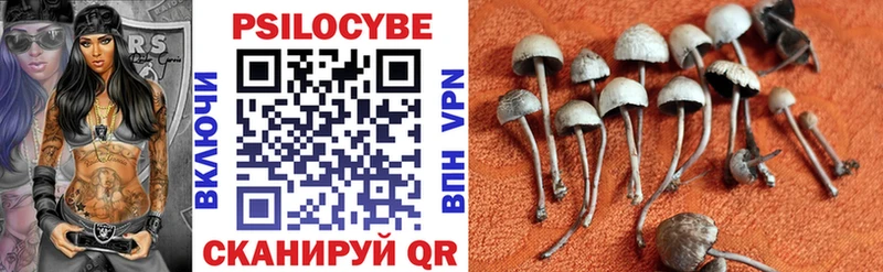 Галлюциногенные грибы Cubensis  Суздаль 